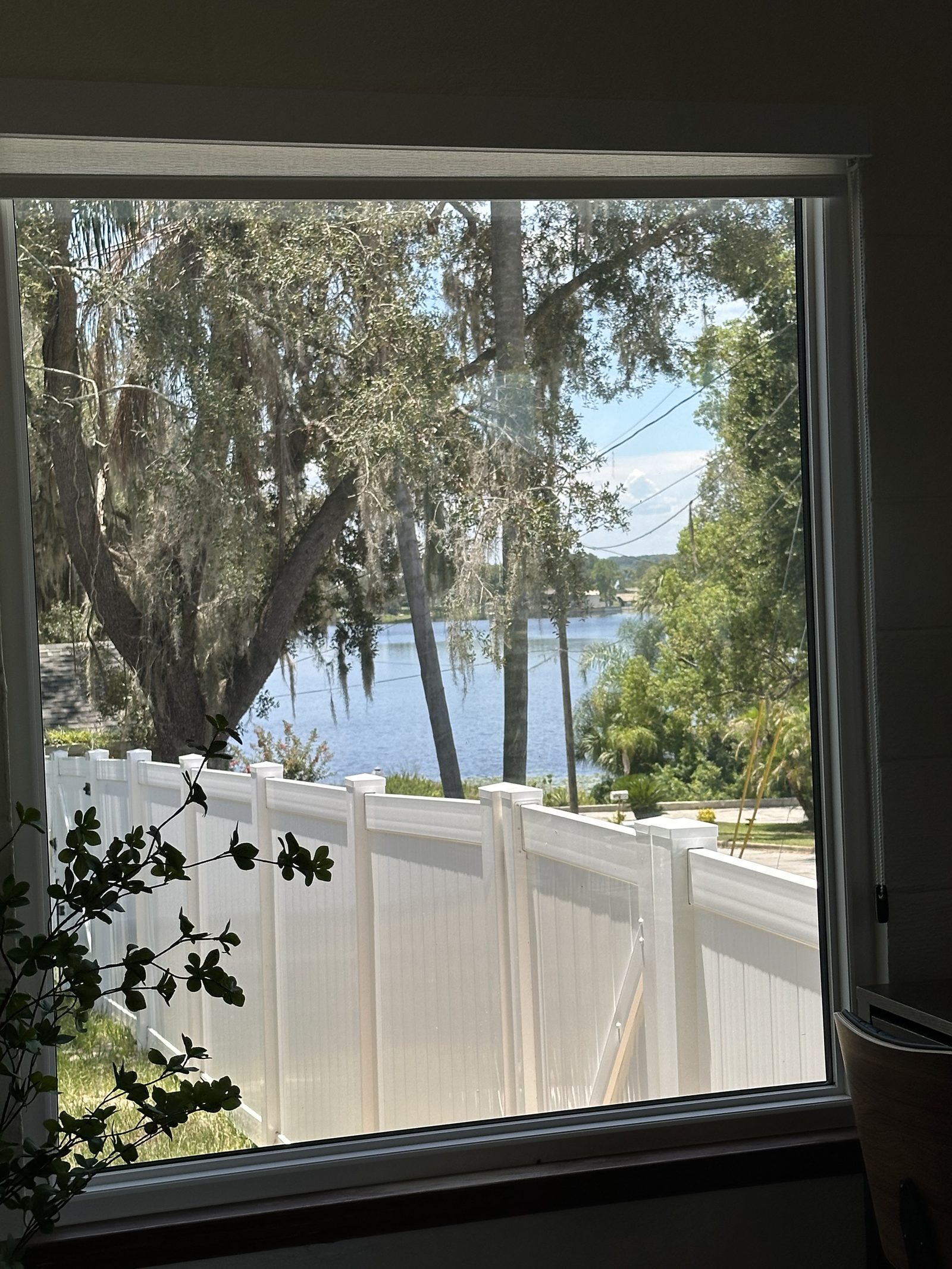 Water and live oaks seen from a window